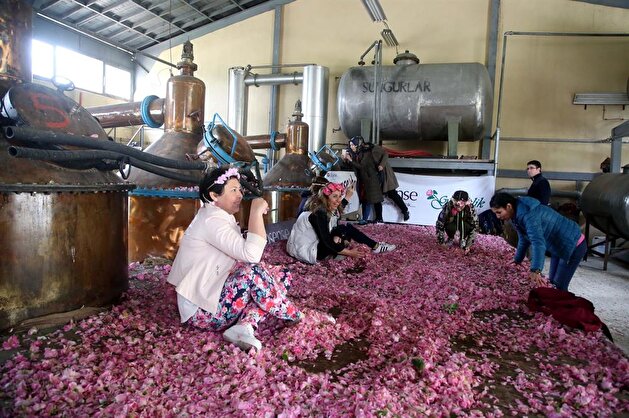 Festival of Roses and Carpets kicks off in Isparta