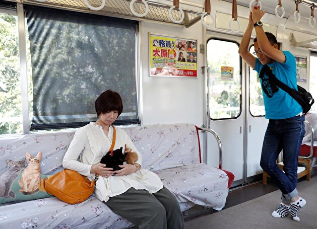 Cats on a train! Japan railway lets felines roam to raise awareness of strays