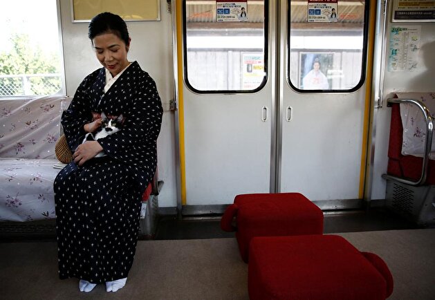 Cats on a train! Japan railway lets felines roam to raise awareness of strays