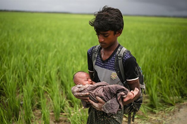 Rohingya Muslims continue fleeing Myanmar's genocide