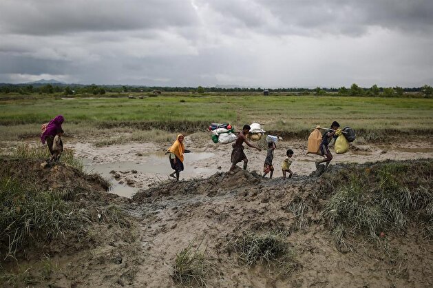 Rohingya Muslims continue fleeing Myanmar's genocide
