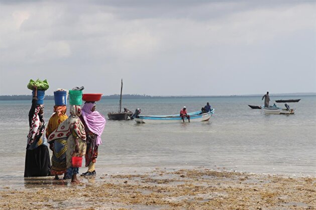 Life in Zanzibar