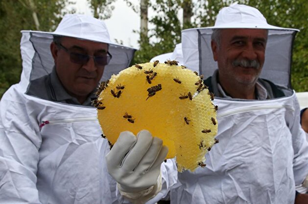 Customers harvest honey on their own in eastern Turkey farm