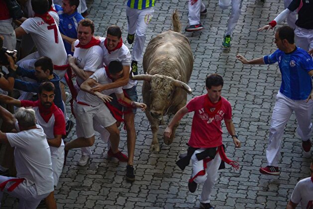 Fifth running of the bulls of the San Fermin festival in Pamplona