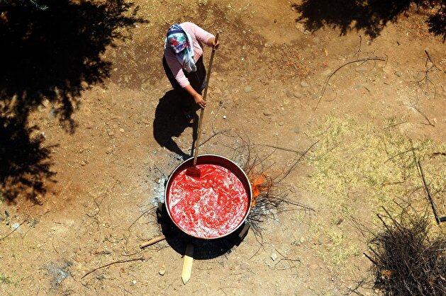 From field to table: The arduous journey of Turkish tomato paste