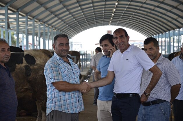Eid al-Adha preparations in Turkey