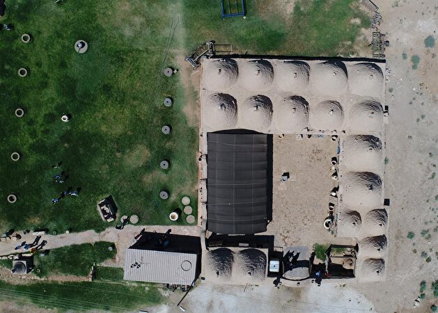 Pool of Sacred Fish in Turkey's Sanliurfa