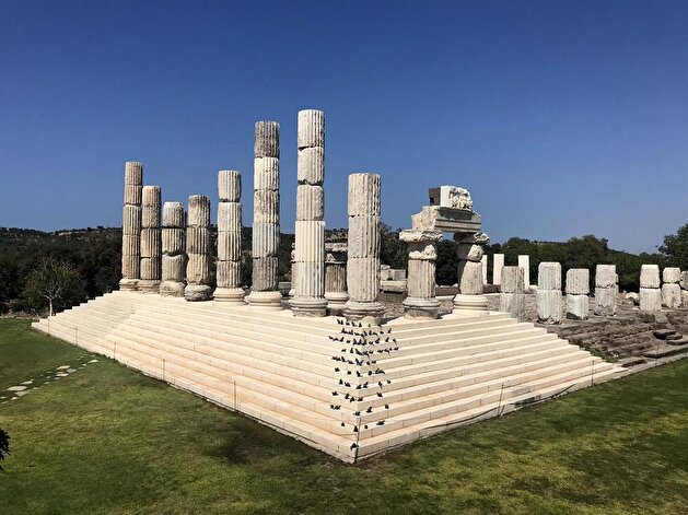 Apollo Smintheus Temple's Mythologic Mice