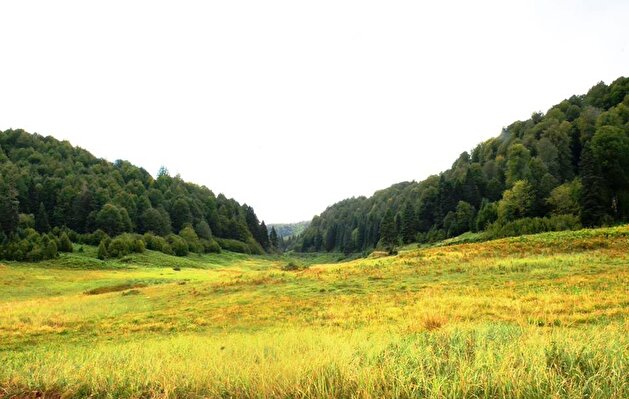Turkey's Küre Mountains attracts nature-lovers