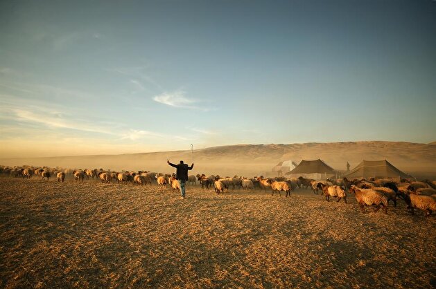 Nomadic lifestyle in Turkey's Van