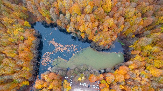 Autumn transforms national park in Turkey's Bolu