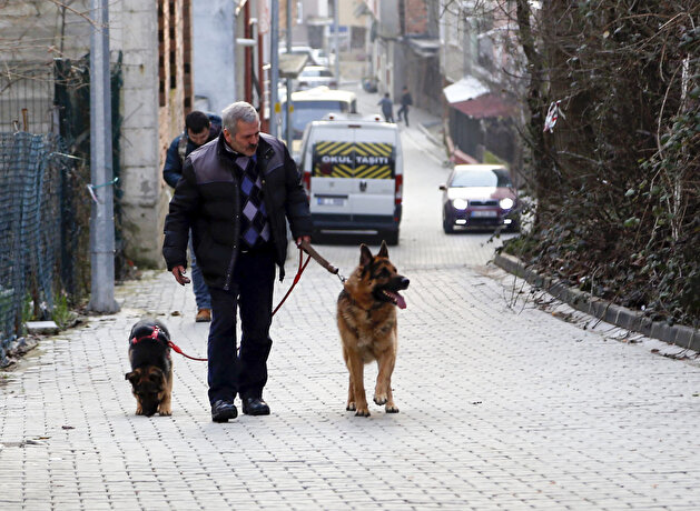 Turkish man walks to work every day with his beloved dogs, ‘Carlos’ and ‘Roberto’