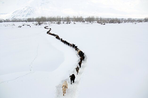 Winter in Turkey's Tunceli