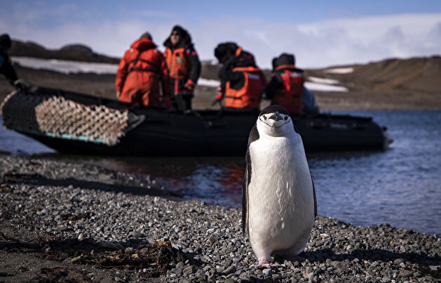 Race for research at continent of science and peace Antarctica