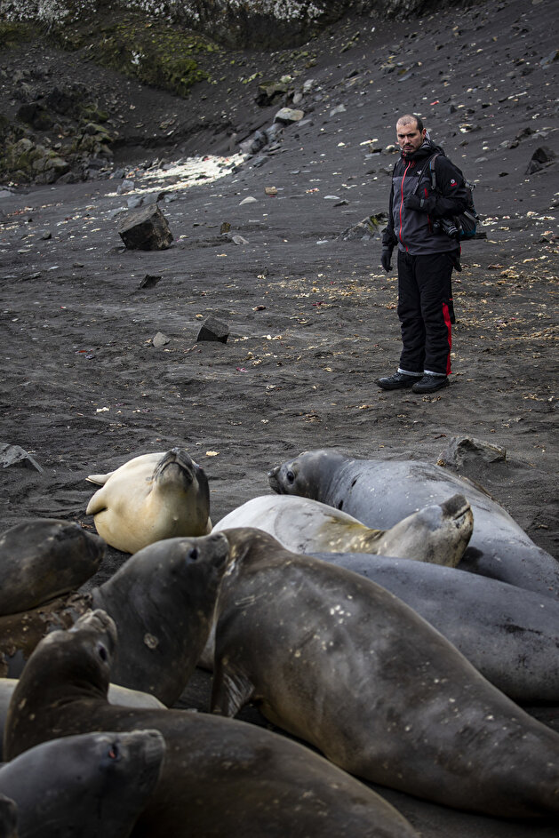 Race for research at continent of science and peace Antarctica