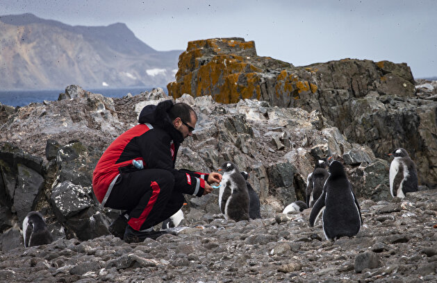 Race for research at continent of science and peace Antarctica