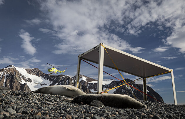 Antarctica: Turkey sets up landmark polar base