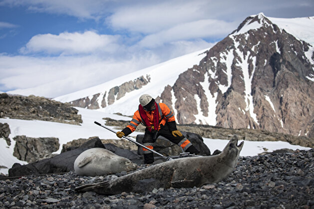Antarctica: Turkey sets up landmark polar base