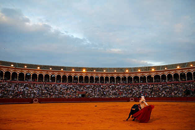 Famous matadors perform talents during a bullfight in Seville
