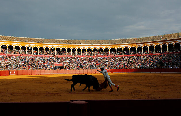 Famous matadors perform talents during a bullfight in Seville
