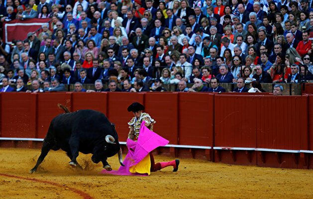 Famous matadors perform talents during a bullfight in Seville