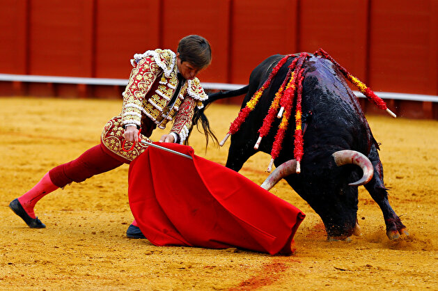 Famous matadors perform talents during a bullfight in Seville