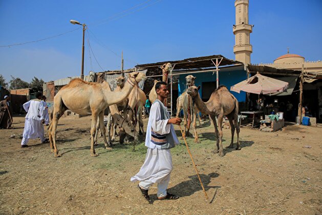 Preparations for Eid al-Adha in Egypt