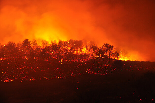 Forest Fire in Turkey's Antalya