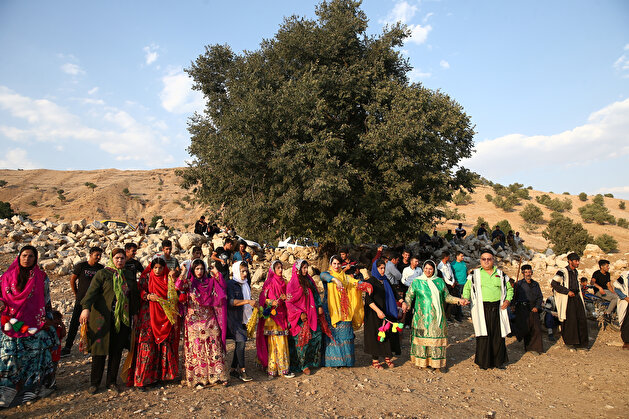 Colorful images from traditional Iranian wedding