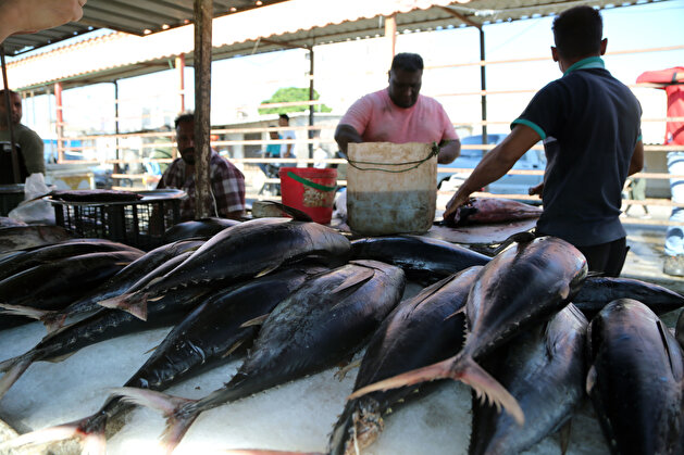 Iranian fishermen in Bandar Abbas