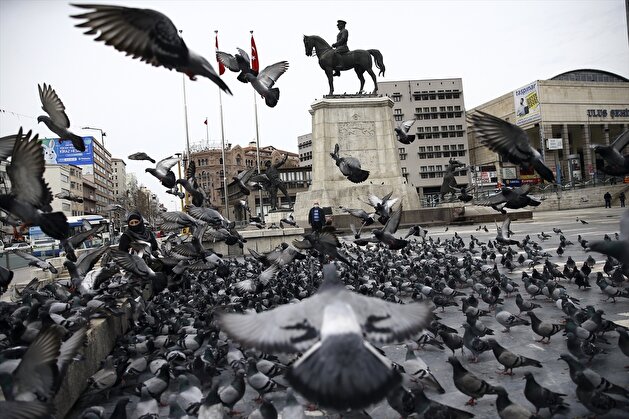 Locals feed pigeons over coronavirus empty streets in Turkey's Ankara