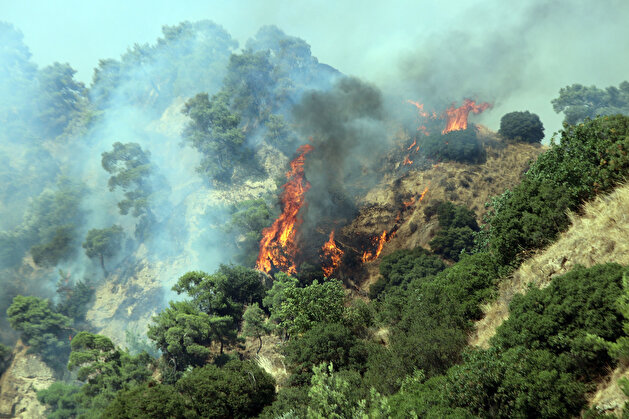 Wildfire broke out in olive groves and figs in Aydin