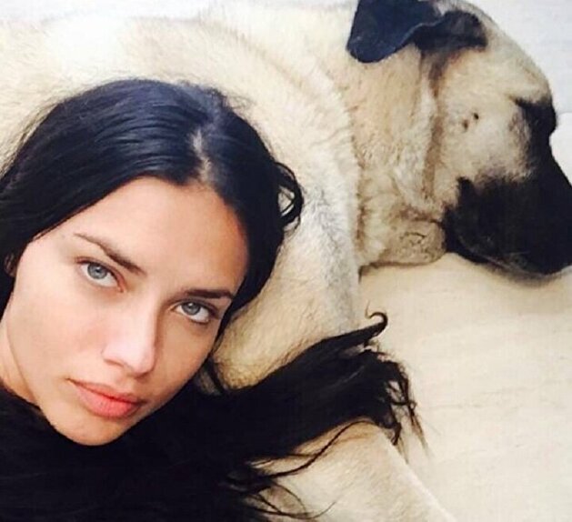 Top dog: Turkish breeders eager to gift supermodel Adriana Lima furry friend
