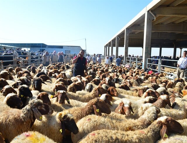Kurban Ne Zaman Kesilir
