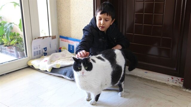 mahalleli 18 kiloluk kedi tombalak i