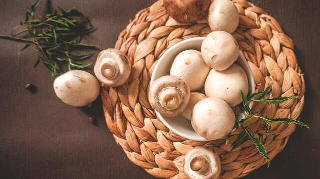 ​Ülkemizdeki yenilebilir yetiştirilebilir mantar çeşitleri nelerdir? 