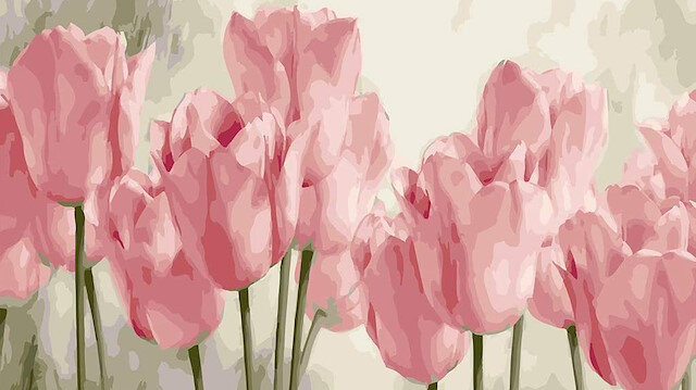 Lale bu topraklardan gitmesine rağmen Avrupa dillerine tulip adıyla yerleşir.