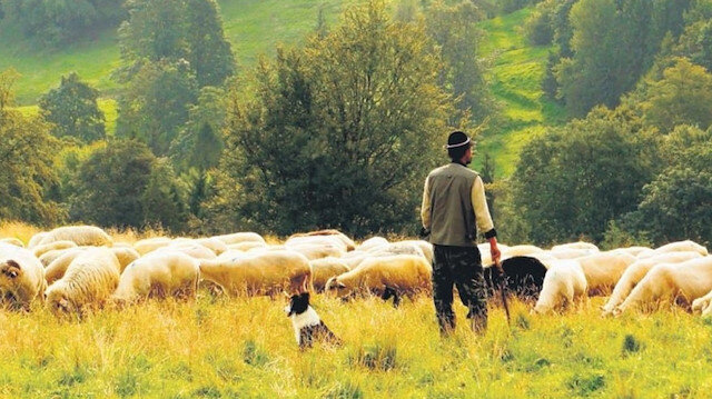 Herkese vermişimdir kendi hâlince bir siret, Herkese vardır kendi efkârınca bir basiret.