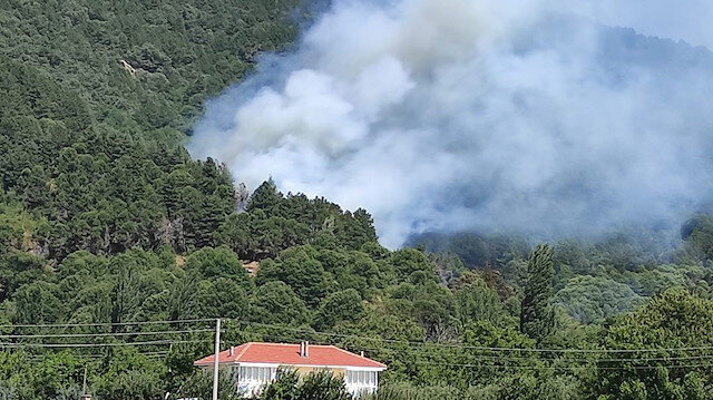 İzmir'in Ödemiş ilçesindeki ormanlık alanda yangın çıktı. Ekipler, alevlerin söndürülmesi için havadan ve karadan müdahale başlattı