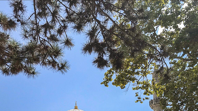 Yıldız Hamidiye Camii (Fotoğraf: Merve Nur Türker)