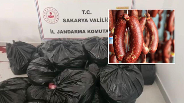 ​İl Jandarma Komutanlığı ekipleri arama yaptıkları tırda at ve eşek eti ele geçirdi