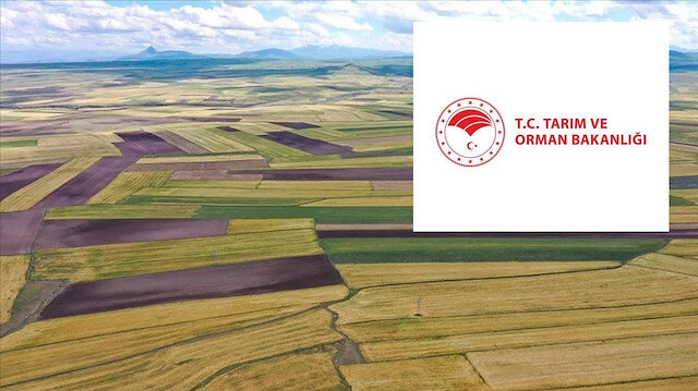 ​Tapu sahiplerine uyarı: 180 gün içinde başvuru yapmayan hakkını kaybedecek