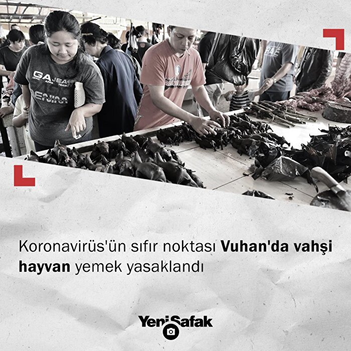 Vuhan'da vahşi hayvan yemek yasaklandı