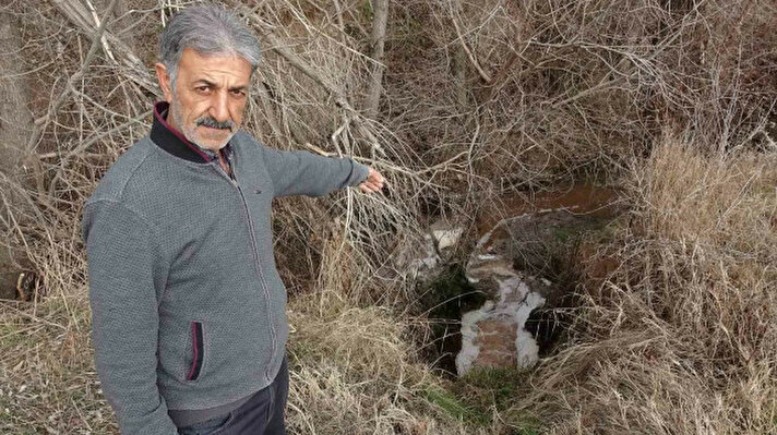 yeniSafak