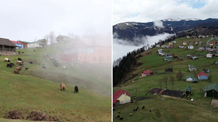 <p>Trabzon'a en yakın yayla konumundaki Akçaabat ilçesinin 1600 rakımlı Hıdırnebi Yaylası, sis altındaki görüntüsüyle dikkati çekiyor.</p>