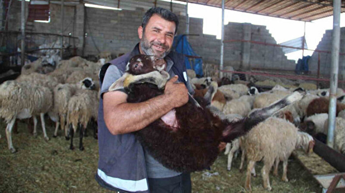 HATAY'IN HASSA İLÇESİNDE  TELEF OLAN 35 KOYUNUNUN, KISA SÜREDE YERİNE YENİSİNİN VERİLMESİNE ŞAŞIRAN DEPREMZEDE BESİCİ İNAYET ÇARKIT, "İLÇE TARIM VE ORMAN MÜDÜRLÜĞÜNDEN ARADILAR, “GEL KOYUNUNU AL” DEDİLER. ŞOK YAŞADIM, HİÇ BEKLEMİYORDUM, BEKLEMEDİĞİ BİR ŞEYİ GÖRÜNCE İNSAN NE OLUR ÇOK MUTLU OLUR”DEDİ.