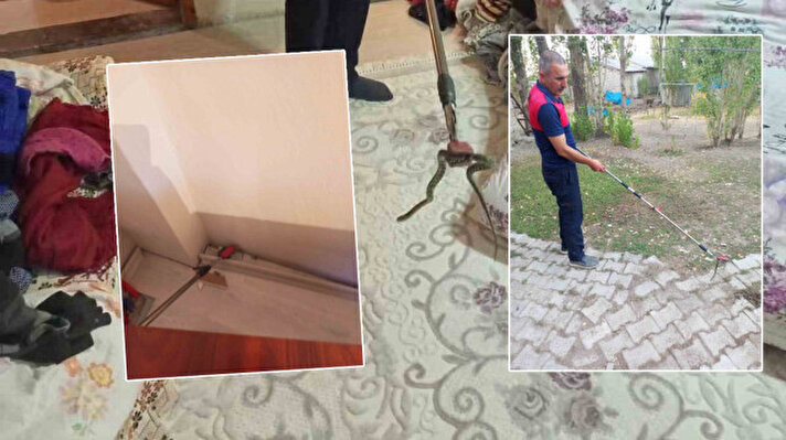 <p>Dün öğle saatlerinde Yüzüncü Yıl Mahallesi’nde oturan bir vatandaşın evine giren yılan, evdeki eşyaların arasına saklandı.&nbsp;</p>