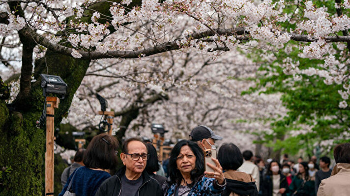 <p>Les gens visitent les fleurs de cerisier illuminées à Chidorigafuchi au Japon.</p>