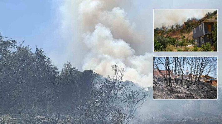 <p>Yangın, saat 11.40 sıralarında Avşar Mahallesi'ndeki kırsal alanda çıktı.</p>