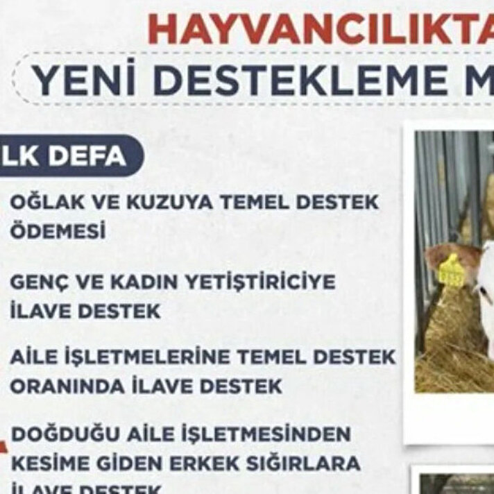 <p>Hayvancılıkta 2024-2026 dönemi destekleme tutarları belli oldu</p><p><br></p>